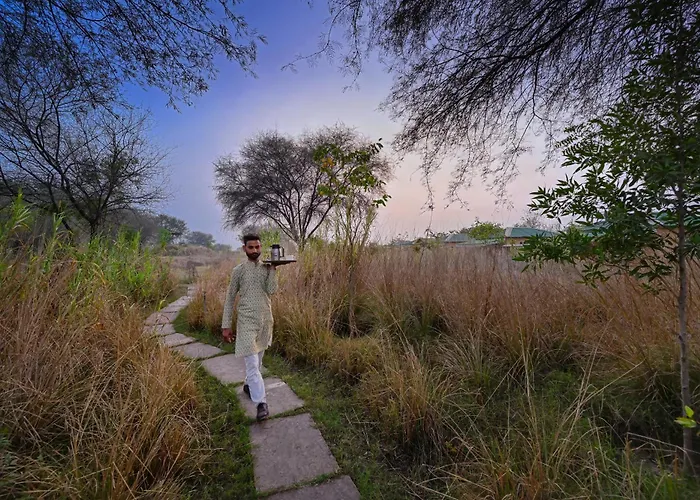 Alaya Stays Bagh Serai, Ranthambore