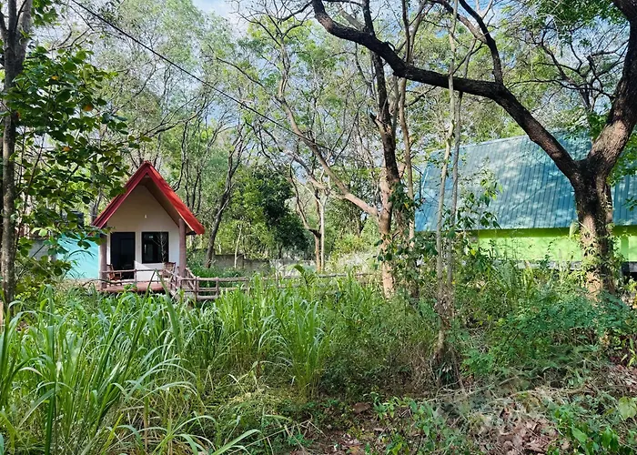 Zora Resort