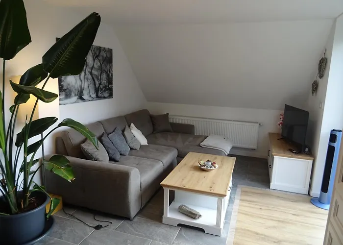 Sammy'S Fewo