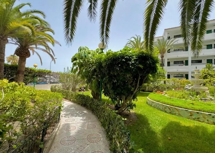 Apartment Palm Tree View