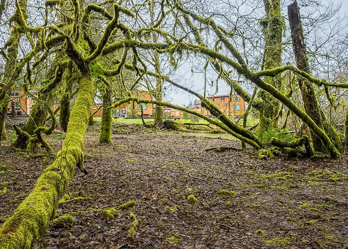 Rainforest Tiny Home Retreat Farm House