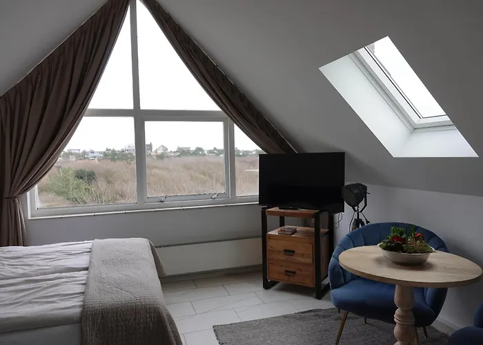 Huize de Duinen