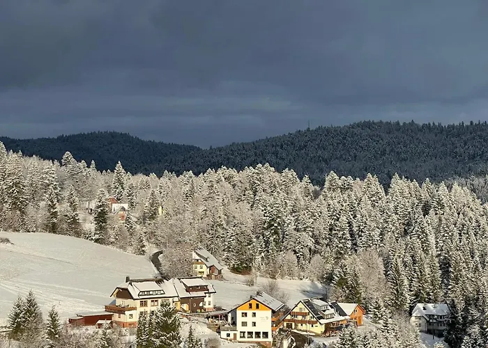 Boutique Hotel & Apartments Pension Sternen
