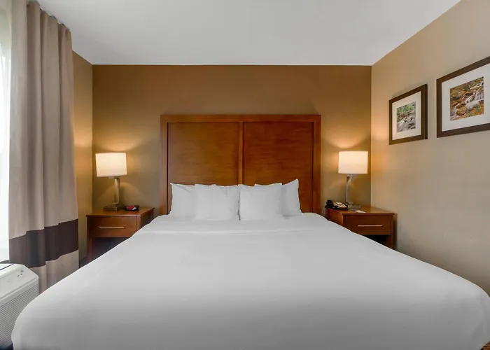 Comfort Inn & Suites Peachtree Corners - Norcross