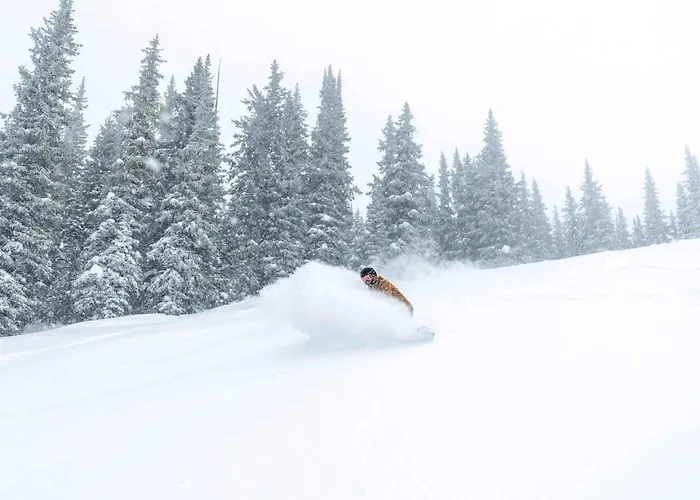 Montaneros In Vail