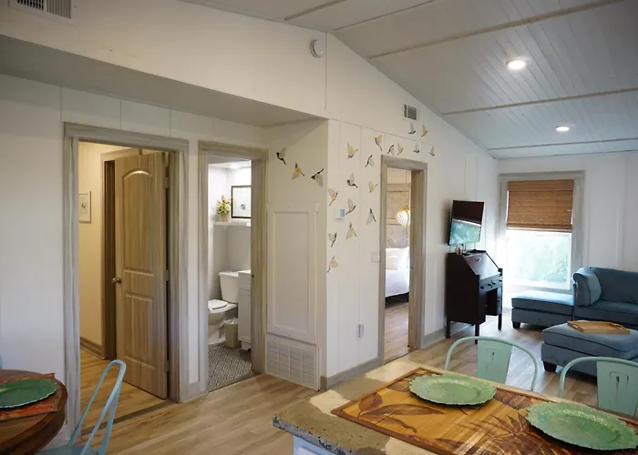 Anna Maria Island Tree House Pet Friendly!
