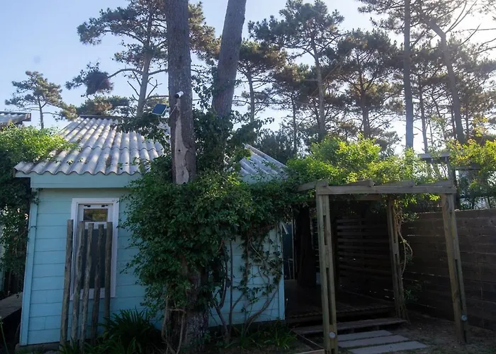 Koru House