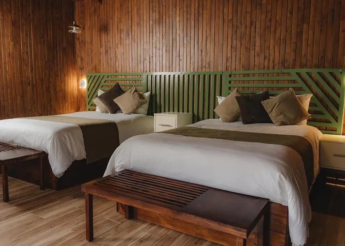 Lauraceas Lodge