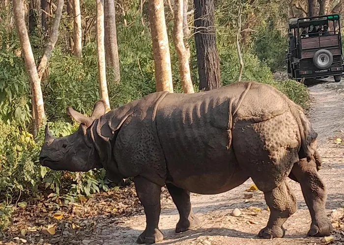 Crocodile Safari Camp