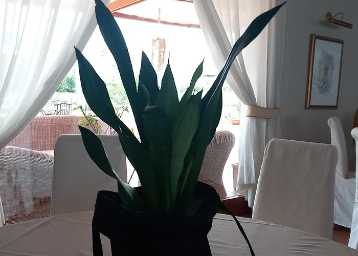 Hotel La Lampara