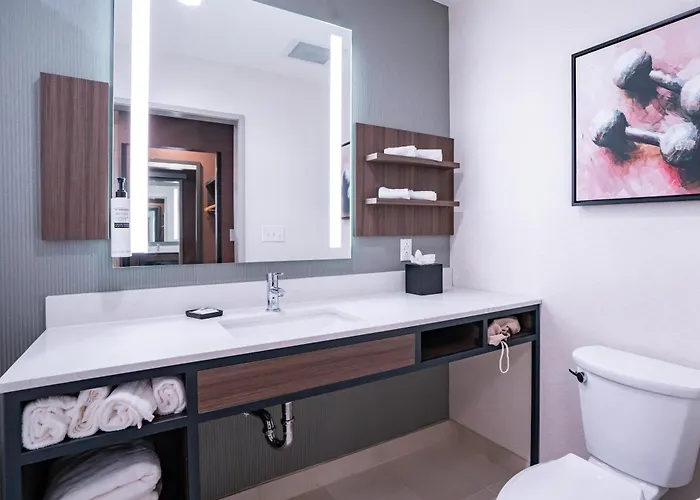 Hilton Garden Inn Hoover Birmingham