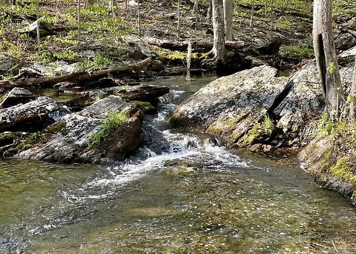 Secluded Tiny House Rental For Glamping In Norwich, Connecticut