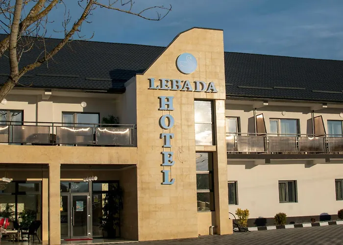 Complex Lebada Botosani