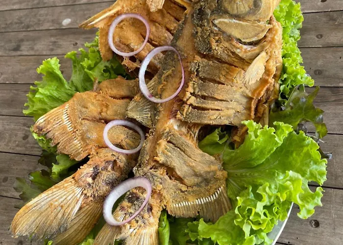 Clube de pesca e pousada boa sorte