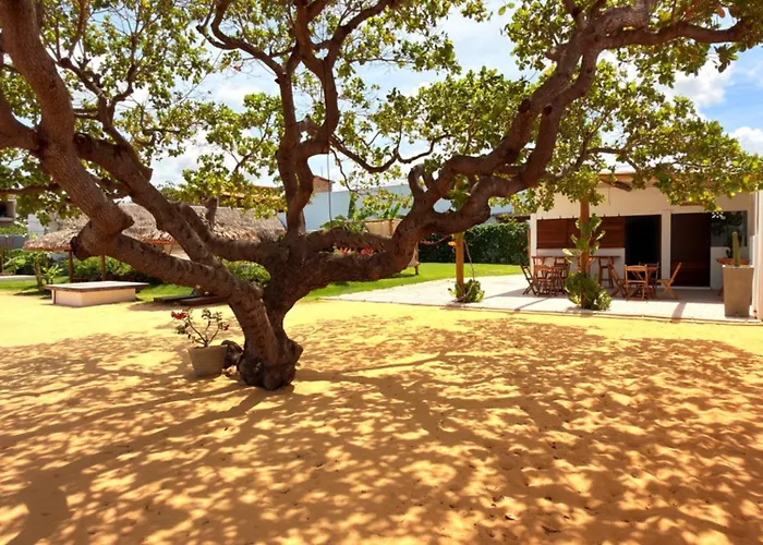 CACTUS CLUB - Clube de Bem-Estar&SPA