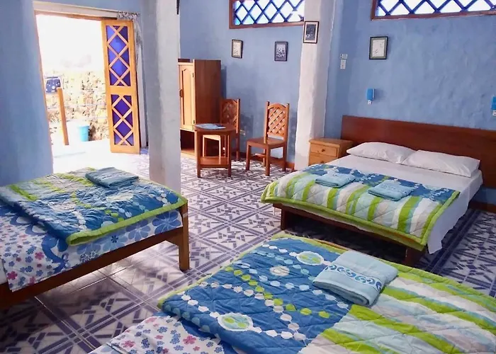 Penguin Hostel