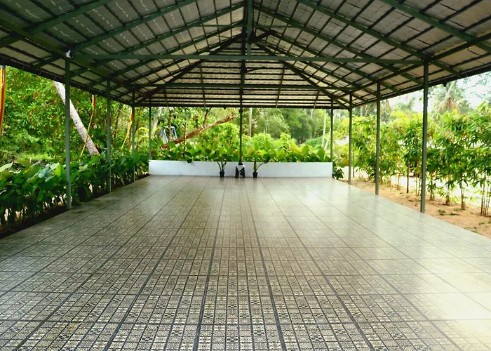 Ayurprana Marari