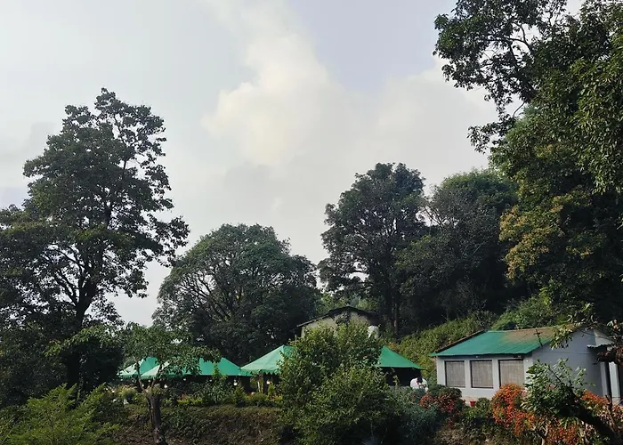 The Jungle Book - Luxury Camps By Lake & Woods