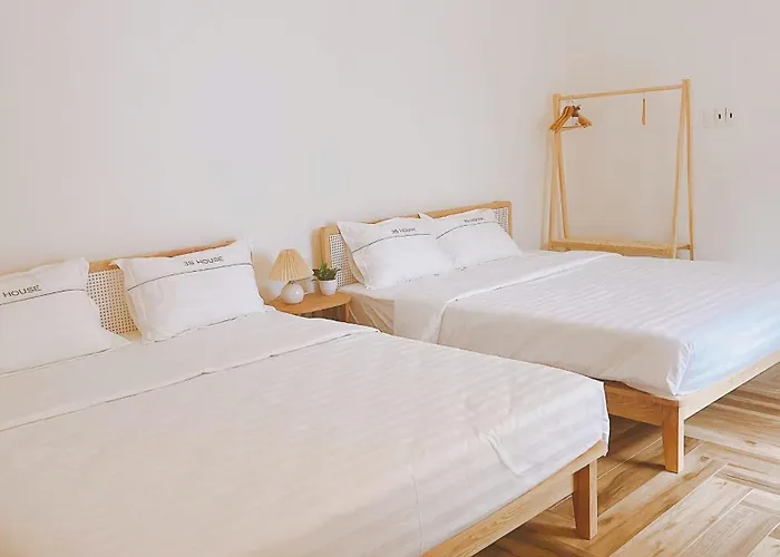 3S House & Homestay