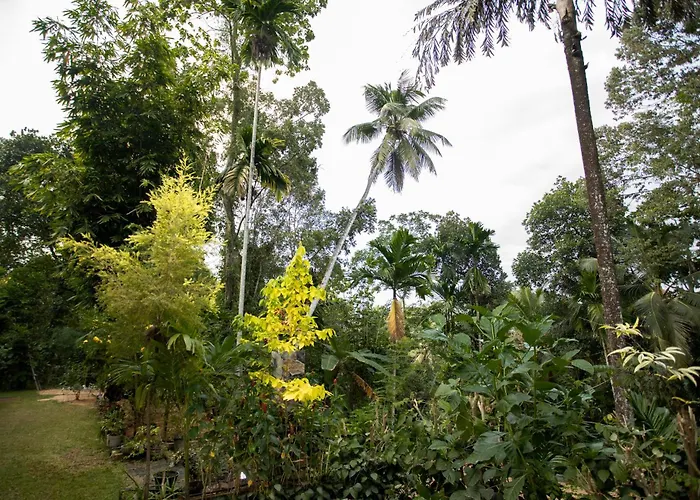 Asoria Luxe Villa & Retreat