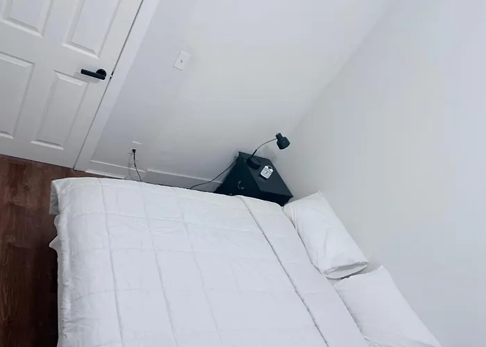 Cozy Single Room
