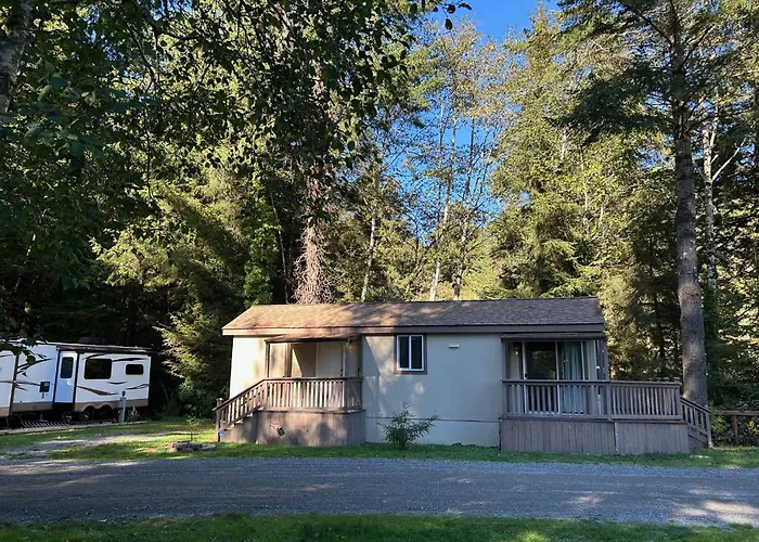 The Tall Trees Cabin