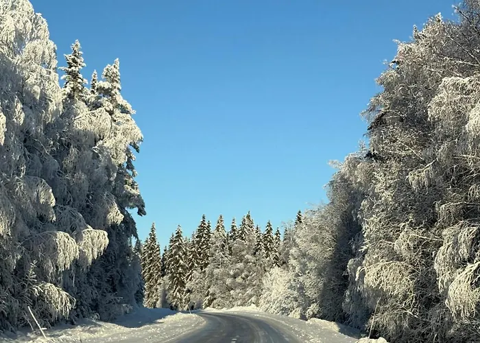 Snoebergets Arctic Cabin