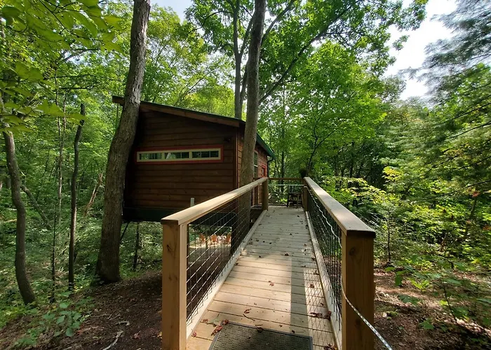 Dreamy Treehouse Getaway Dog Friendlydisc Golf