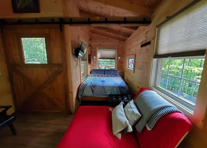 Dreamy Treehouse Getaway Dog Friendlydisc Golf