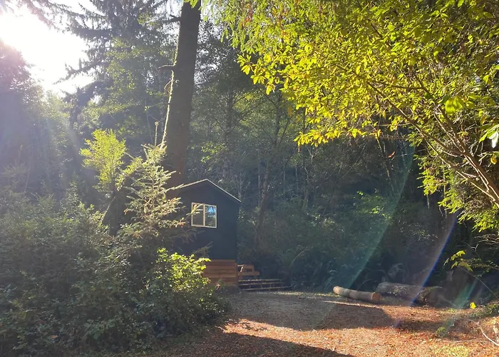 The Black Bear Cabin