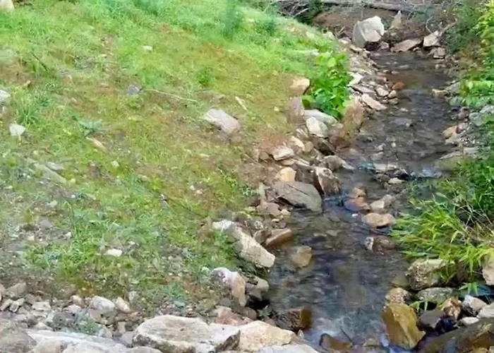 Mountain Cabin & Creek-Front Nature Retreat Nc