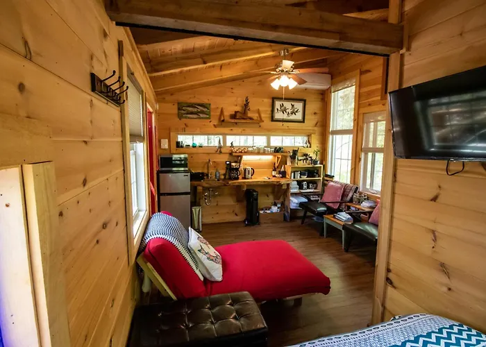 Dreamy Treehouse Getaway Dog Friendlydisc Golf