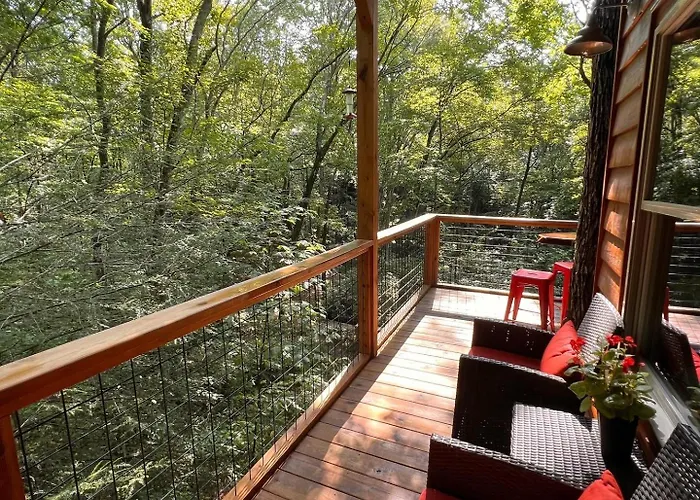 Dreamy Treehouse Getaway Dog Friendlydisc Golf