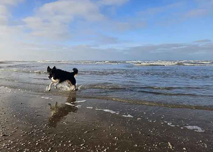 Skip Inn Strandhuisjes