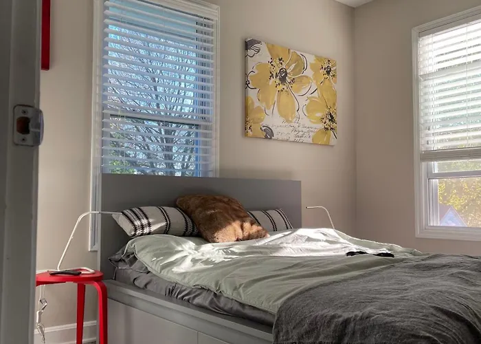 Cozy Condo In Beautiful Historic Neighborhood