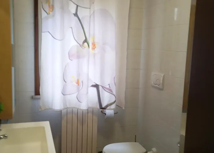 Carinissimo vicino a Venezia