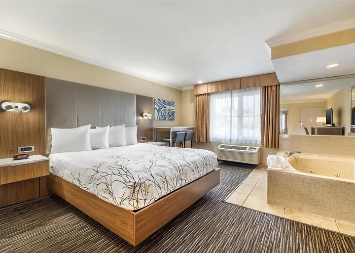 Best Western Airpark Hotel - LAX Airport LA Stadium