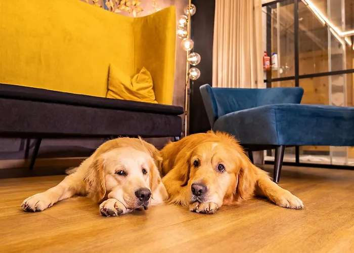 Hotel Magdalena Im Zillertal - Urlaub Mit Hund