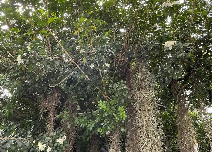 Casa Hotel Jardin Azul