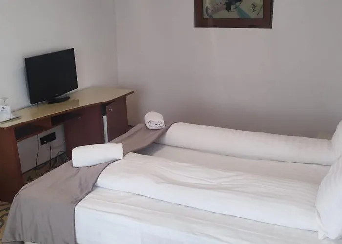 Hotel Dana 2