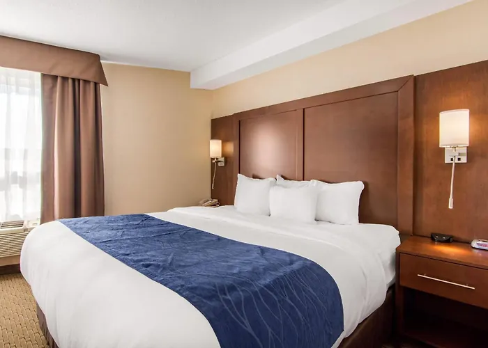 Comfort Inn & Suites Medicine Hat Shopping Centre