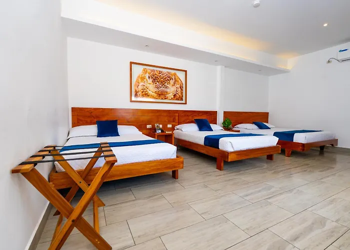 Hotel Ninfa