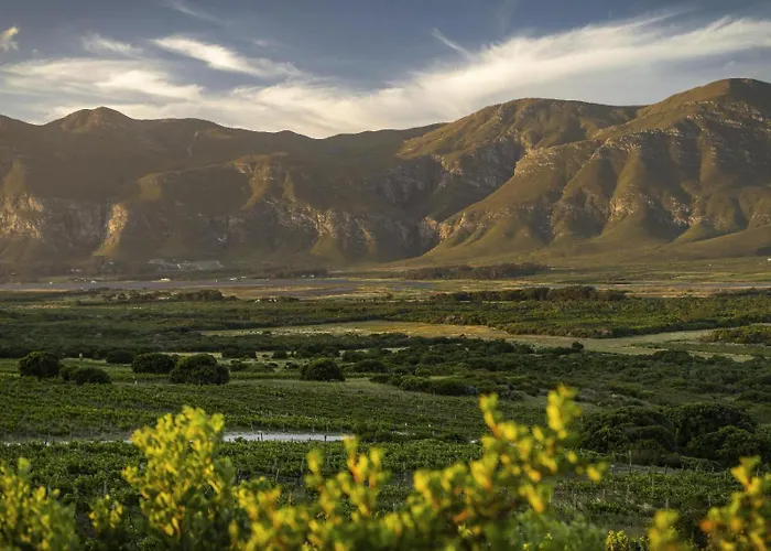 Springfontein Wine Estate