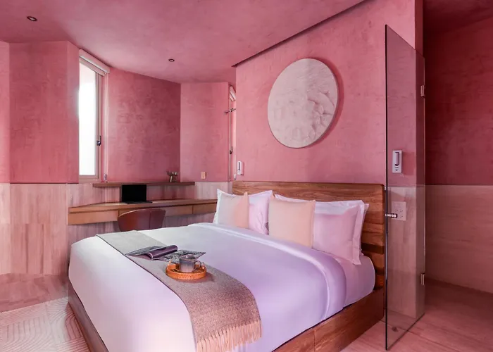 Laiva Hotel San Jose By Tasman
