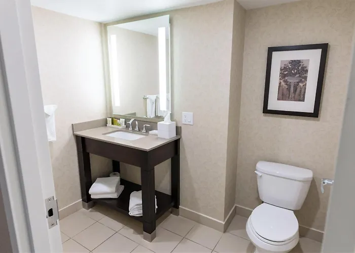 Hilton Niagara Falls/ Fallsview Hotel&Suites