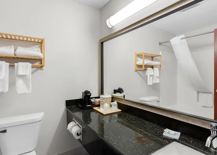 Quality Inn & Suites Niles