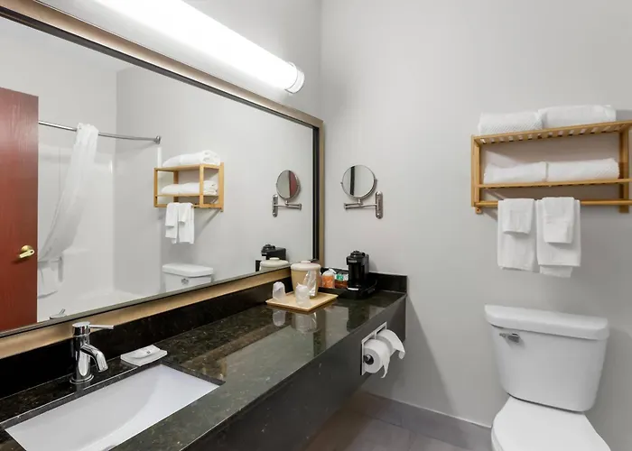 Quality Inn & Suites Niles