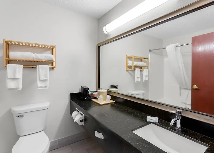 Quality Inn & Suites Niles