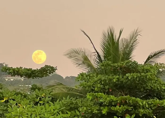 Green Sanctuary Hotel