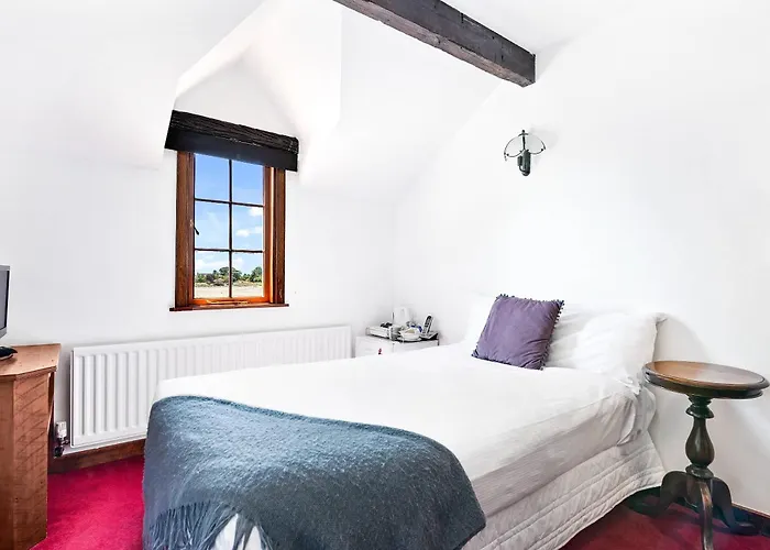 The Honest Lawyer, An Ascend Collection Hotel